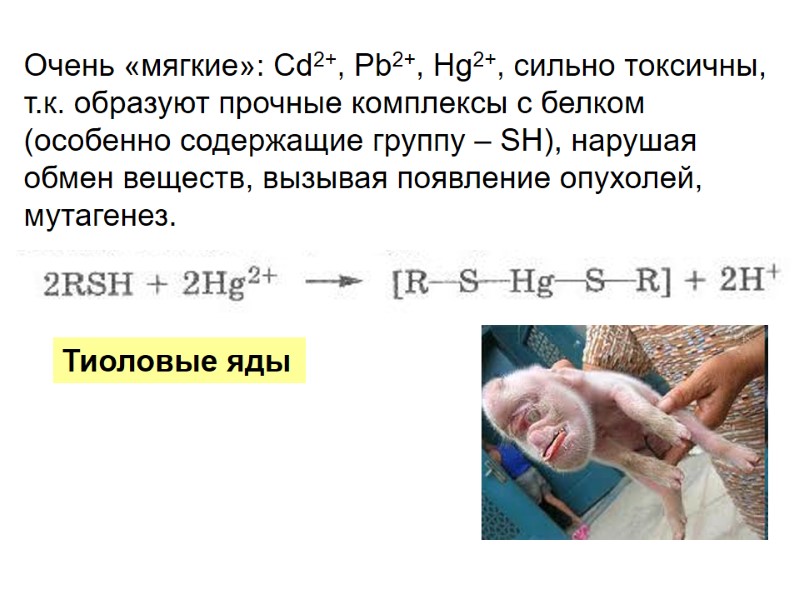 Очень «мягкие»: Cd2+, Pb2+, Hg2+, сильно токсичны, т.к. образуют прочные комплексы с белком (особенно